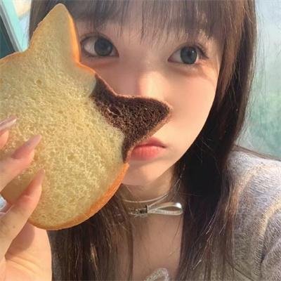 护照
